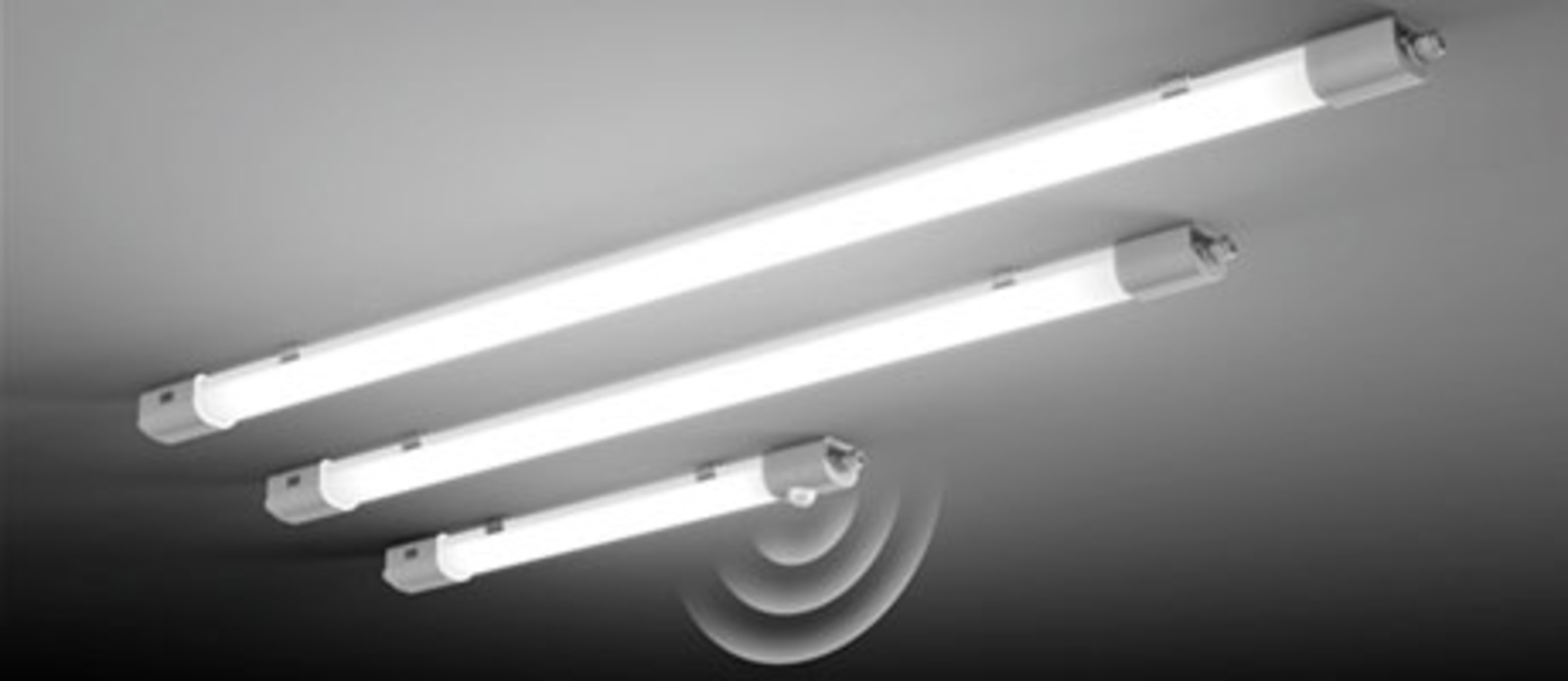 Planox Feuchtraumleuchten bei Elektro-Hein GmbH & Co. KG in Oberviechtach